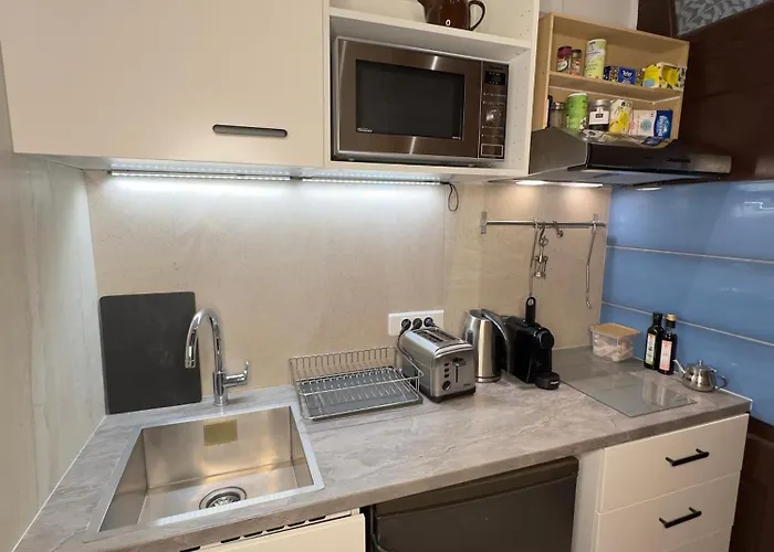 Charles V Flat Ground Floor Apartment Paris